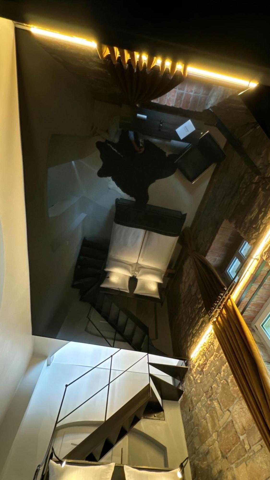 Historical Luxury Homes - Luxus Loft Wallstreet 프라이부르크 임 브리스가우 외부 사진