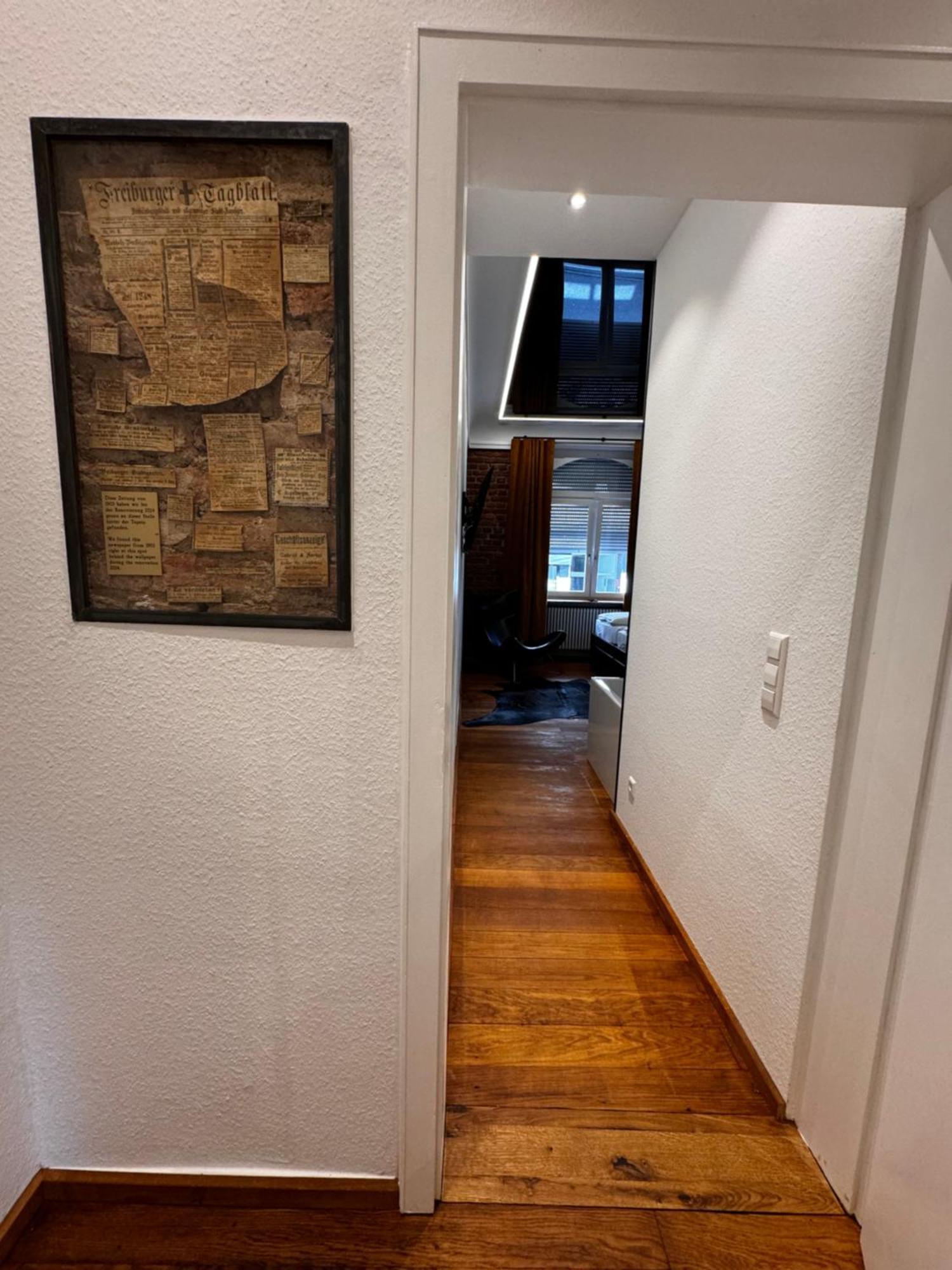 Historical Luxury Homes - Luxus Loft Wallstreet 프라이부르크 임 브리스가우 외부 사진